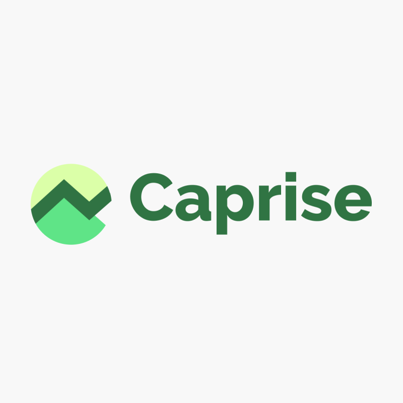 Caprise – Logo Design for Startup Growth & Investment